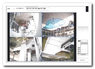 Hidden Cameras for Yard